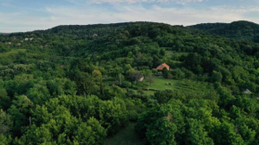 Šumska 1